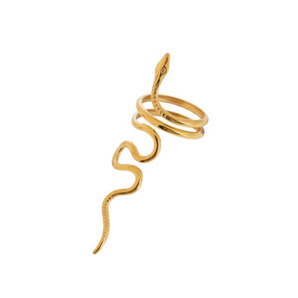 Serpent Aura Ring - Image 5