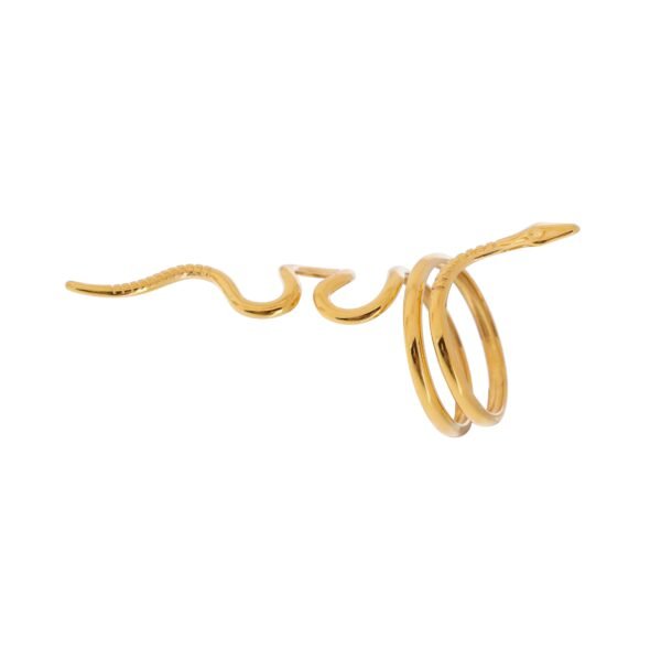 Serpent Aura Ring - Image 3